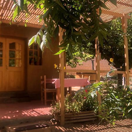 Puma Cottage Horcón Dış mekan fotoğraf
