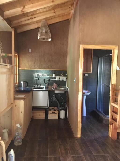 Puma Cottage Horcón Dış mekan fotoğraf