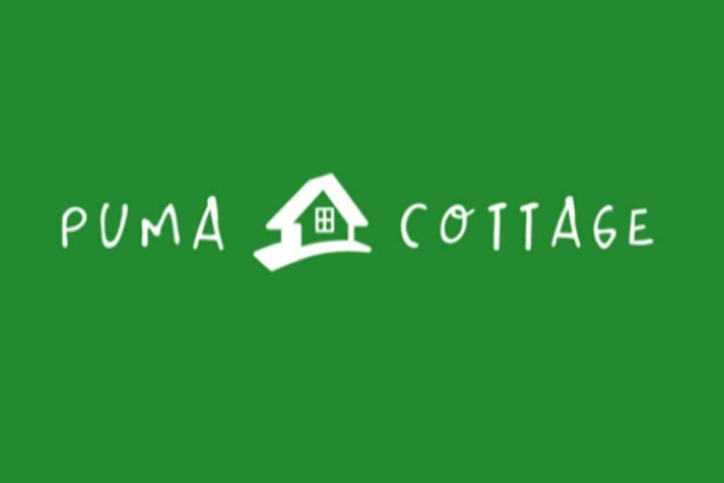 Puma Cottage Horcón Dış mekan fotoğraf