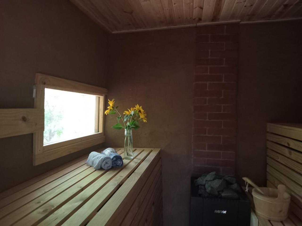 Puma Cottage Horcón Dış mekan fotoğraf