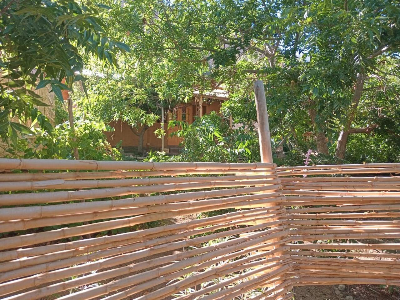 Puma Cottage Horcón Dış mekan fotoğraf