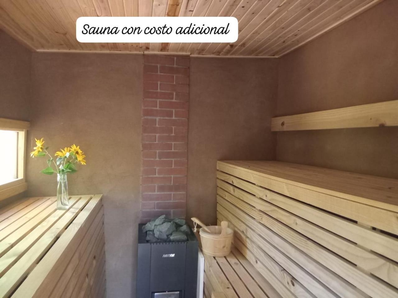 Puma Cottage Horcón Dış mekan fotoğraf